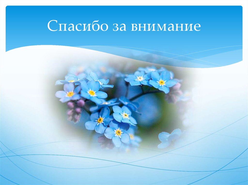 Спасибо за внимание