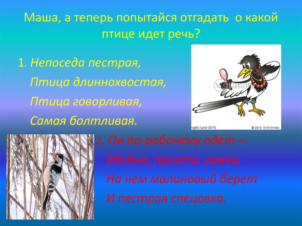 Прислушайтесь и угадайте какой птице принадлежит голос. И речь не о птицах. Если речь пошла о птичках. Какой идет птичка. Тесты о каких птицах идет речь в песнях.