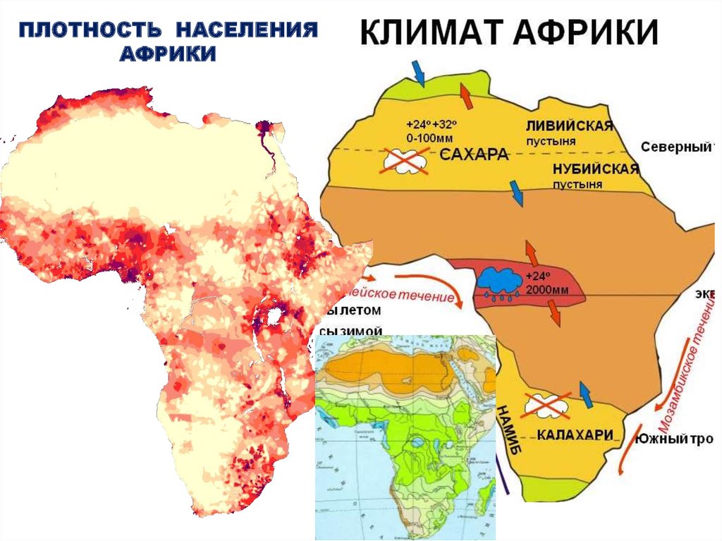 Карта африки доля городского населения