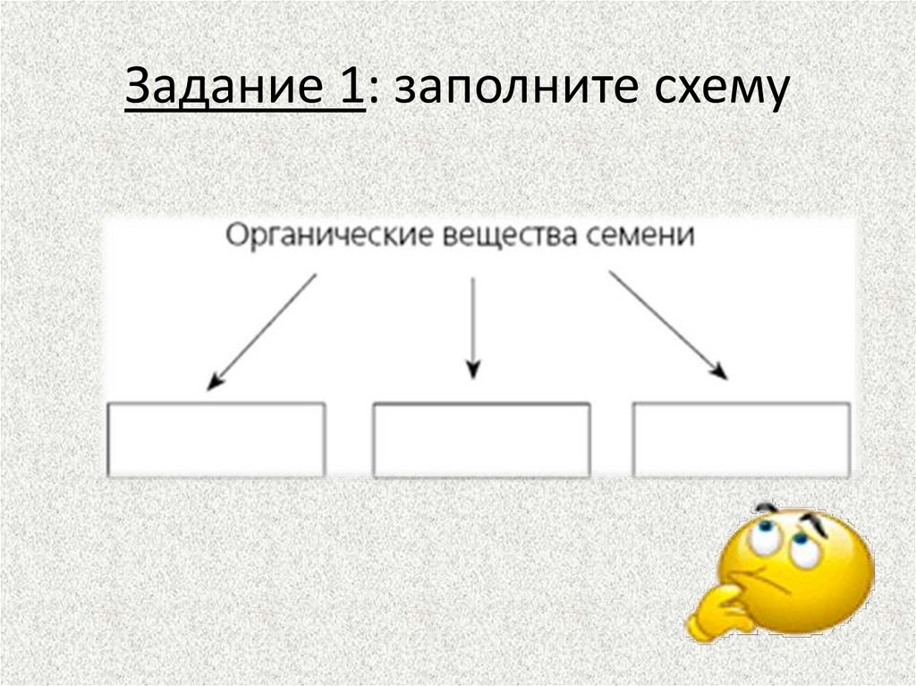 1 заполните схему