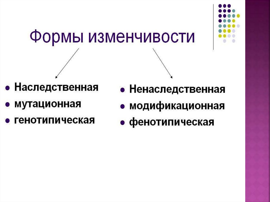 Схема типы изменчивости