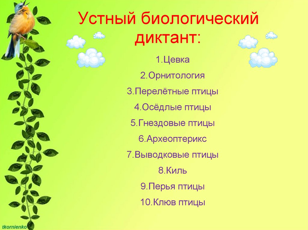 Диктант 1 класс птицы