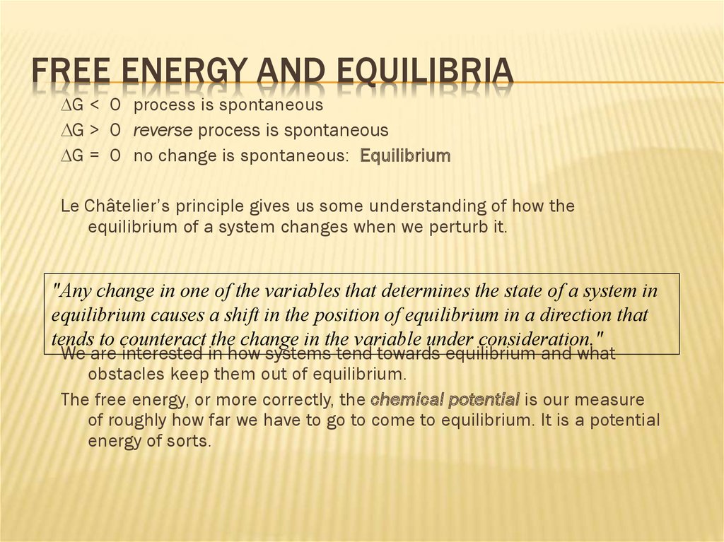 Free Energy and Equilibria