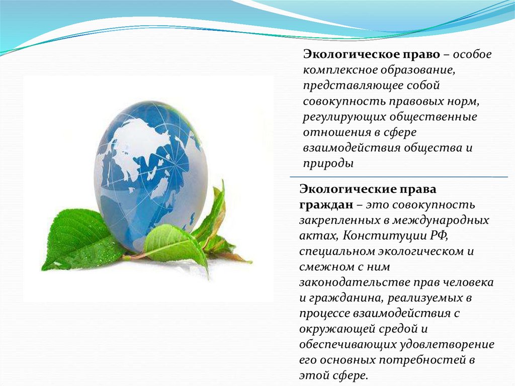Экологическое право представляет собой. Экология и право. Земля в экологическом праве. Экологическое право презентация.
