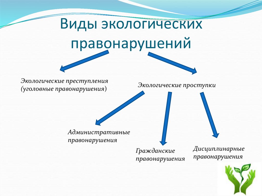 Экологический вид. На что делятся экологические правонарушения. Виды экологических правонарушений. Понятие и виды экологических правонарушений. Виды экологических прав.