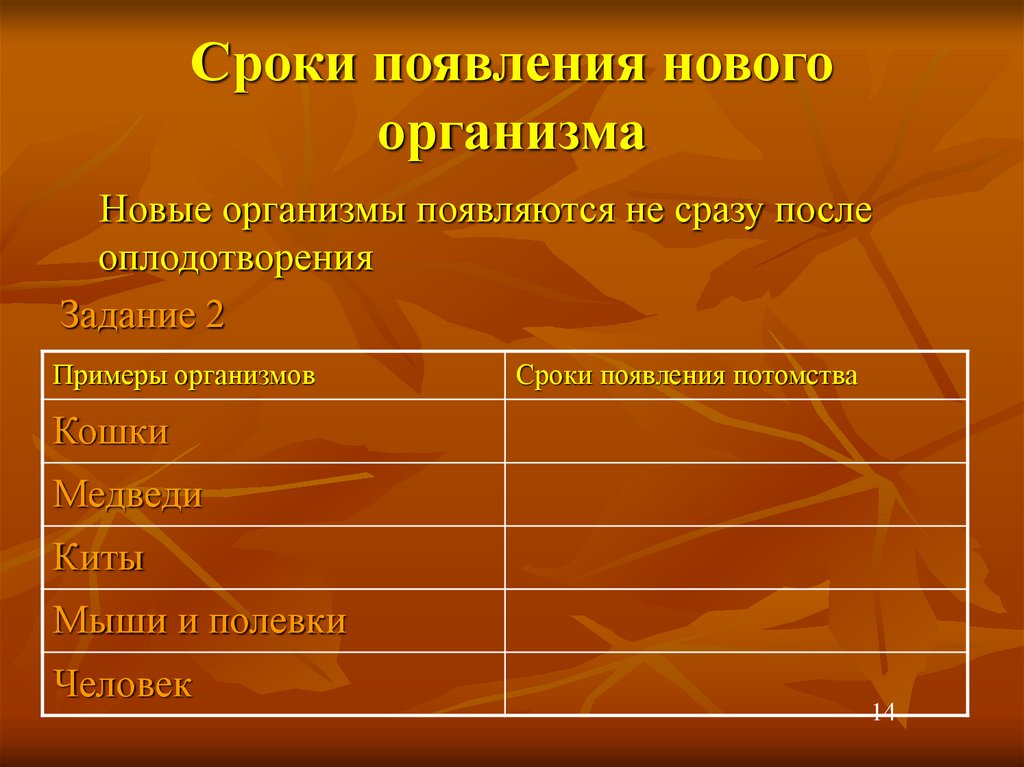 Одинаковая продолжительность. Сроки появления потомства. Периодичность появления потомства. Сроки появления потомства у человека. Процесс время появления пример.