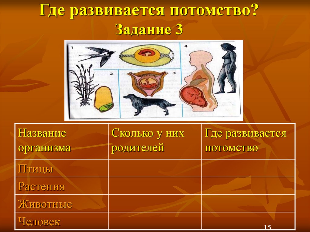 Из скольких организмов