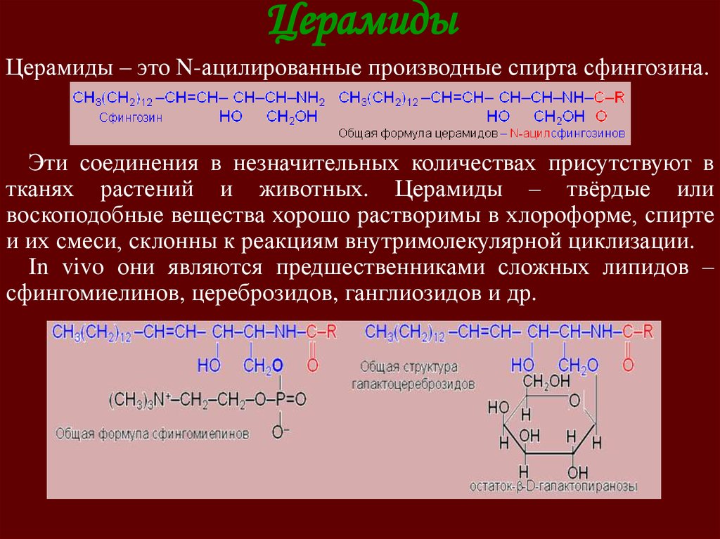 Церамиды это. Церамиды гидролиз. Строение церамидов. Церамид формула. Структурные компоненты церамидов.