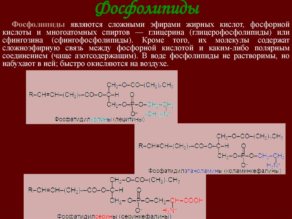 Сложным эфиром глицерина является. Фосфолипиды сфингофосфолипиды. Липиды молекула фосфатидилхолин. Фосфолипиды являются. Жирные кислоты фосфолипидов.