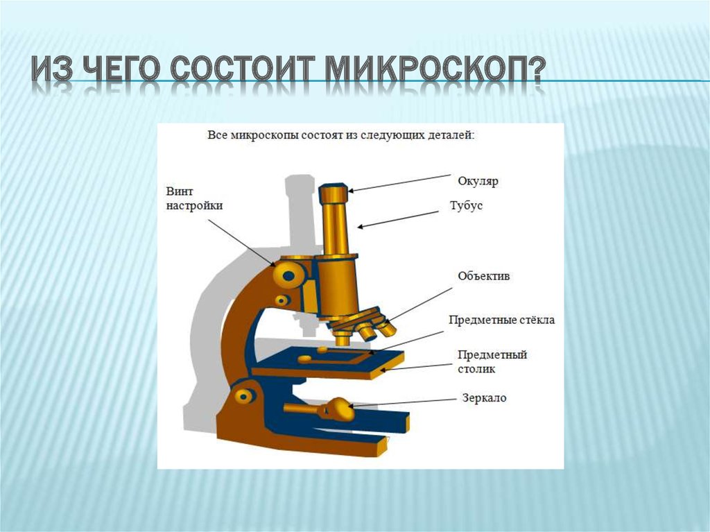 Детали микроскопа. Из чего состоит микроскоп. Их чего состоит микроскоп. Из чево састоит микроскоп. Изчегосастаитмикраскоп.