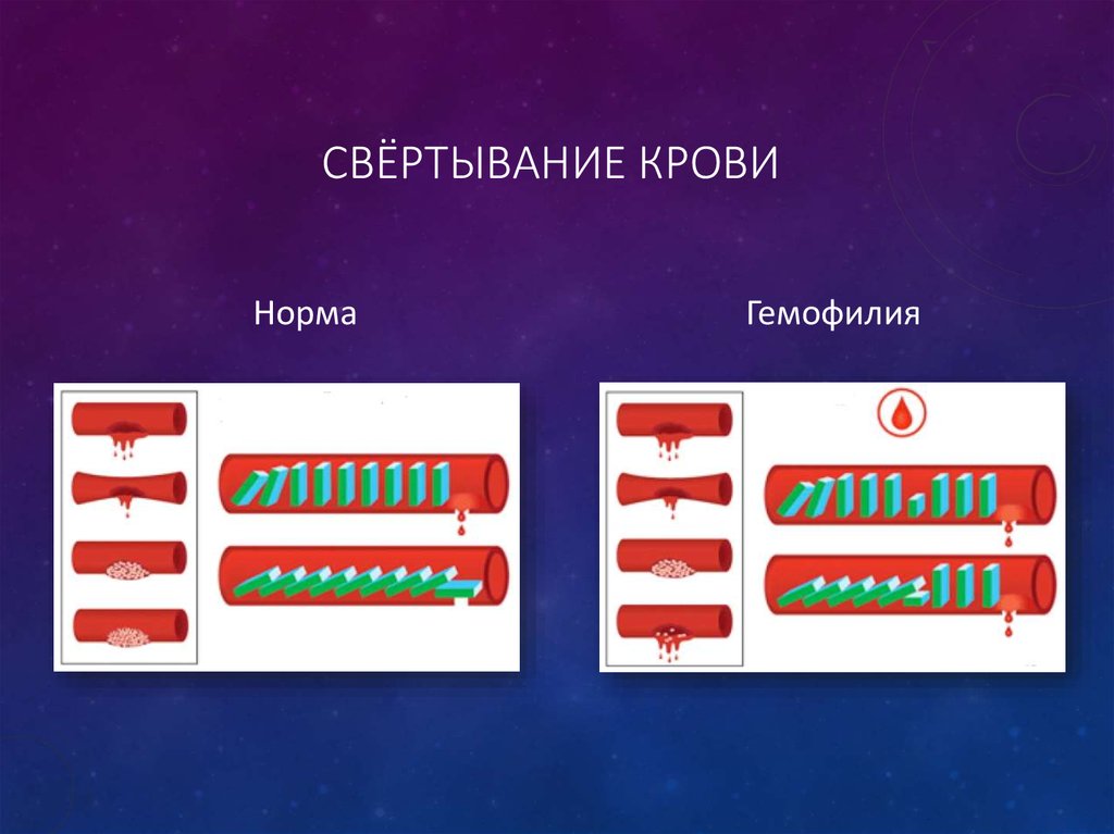 Свёртывание крови