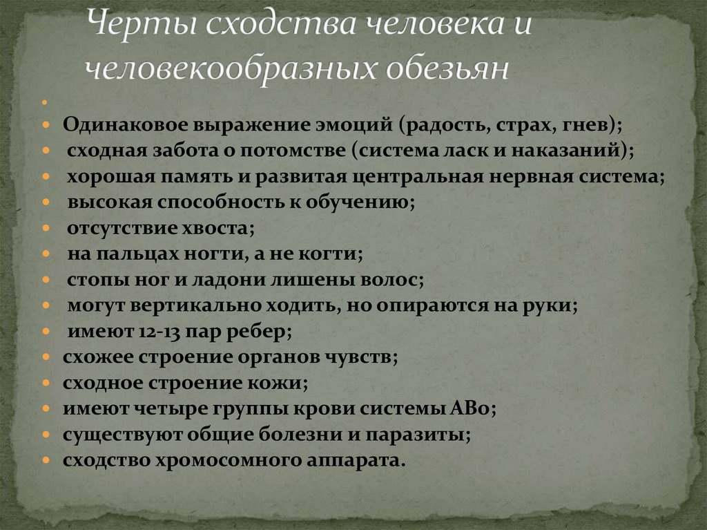 Человекообразную обезьяну отличает от человека общий план строения забота о потомстве