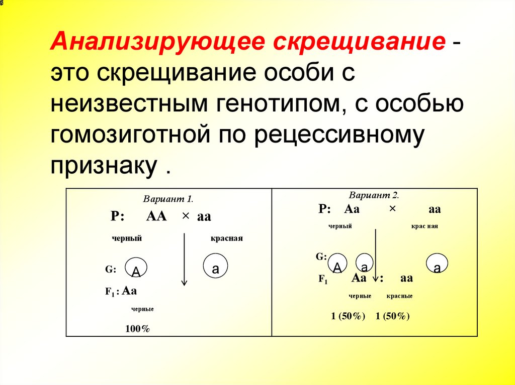 Анализируемая особь. Анализирующее скрещивание схема скрещивания. Генетическая схема анализирующего скрещивания. Анализирую=шее скрещивание. Анализиркющиескрешивание.