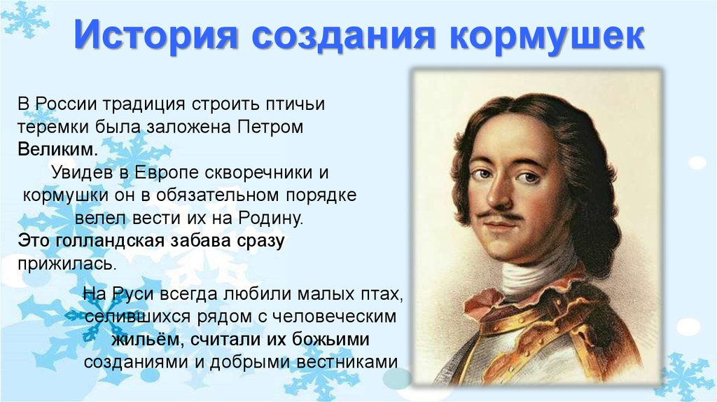 Класс история создания. История создания кормушки. Историческая справка кормушки. История происхождения кормушки. История кормушки для птиц.