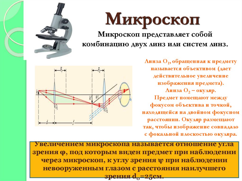 Объектив микроскопа дает. Оптическая схема окуляра микроскопа. Система линз в микроскопе. Схема микроскопа оптика. Устройство микроскопа линзы.