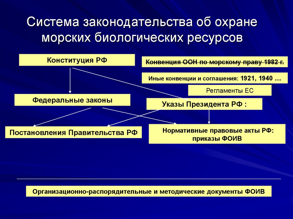 Региональное законодательство в системе российского законодательства