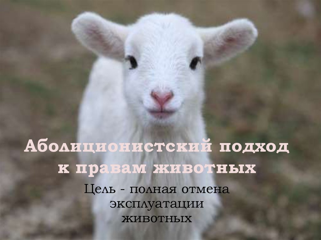 Аболиционистский подход к правам животных