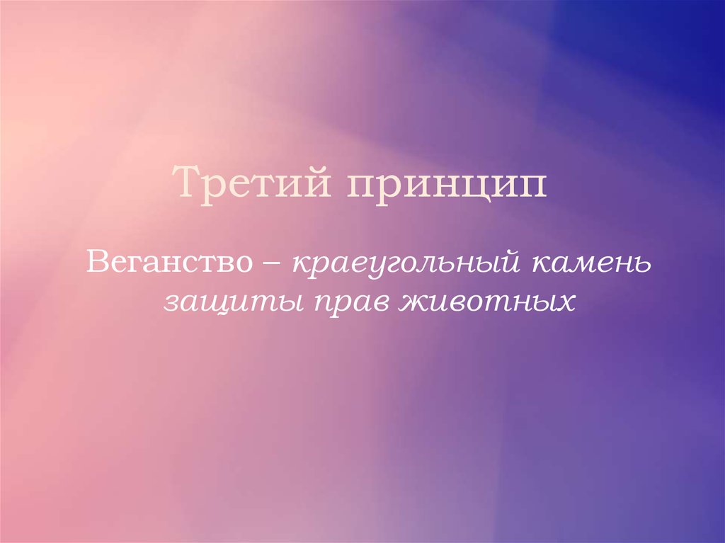 Третий принцип