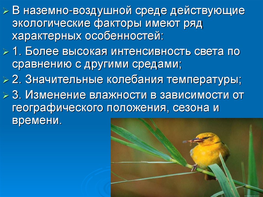 Что достаточно в воздушной среде. Экологические факторы наземно-воздушной среды. Экологические факторы наземной среды. Ограничивающие факторы наземно воздушной среды. Колебания температур в наземно воздушной среде.