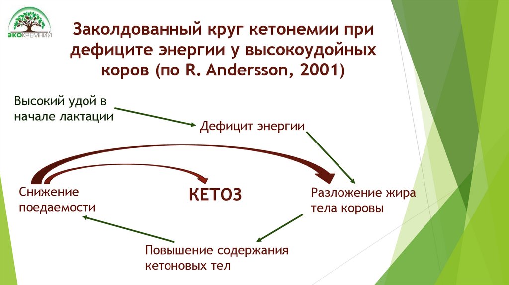 Кетоз коров презентация