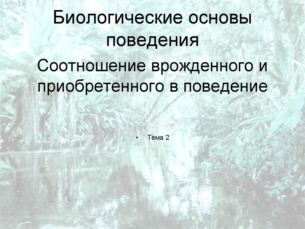 Биологическая основа. Биологические основы поведения. Биосоциальные основы поведения. Биологические и психологические основы поведения. Биологическая основа человека.