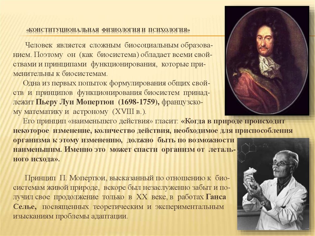 Мало принцип. Пьер Мопертюи. Принцип Мопертюи. Принцип наименьшего действия. Психология и физиология.