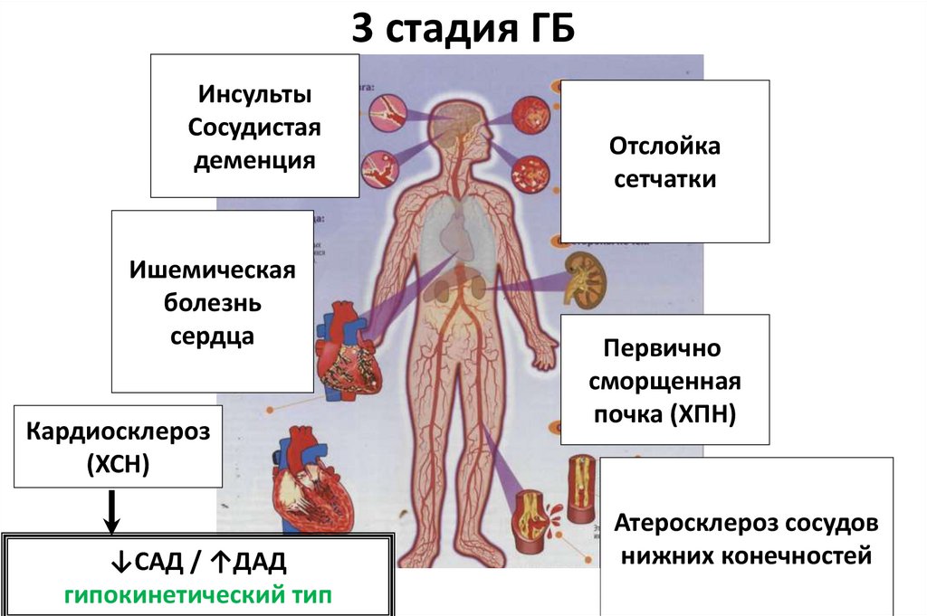 Повышение сосудистого тонуса в смартфоне