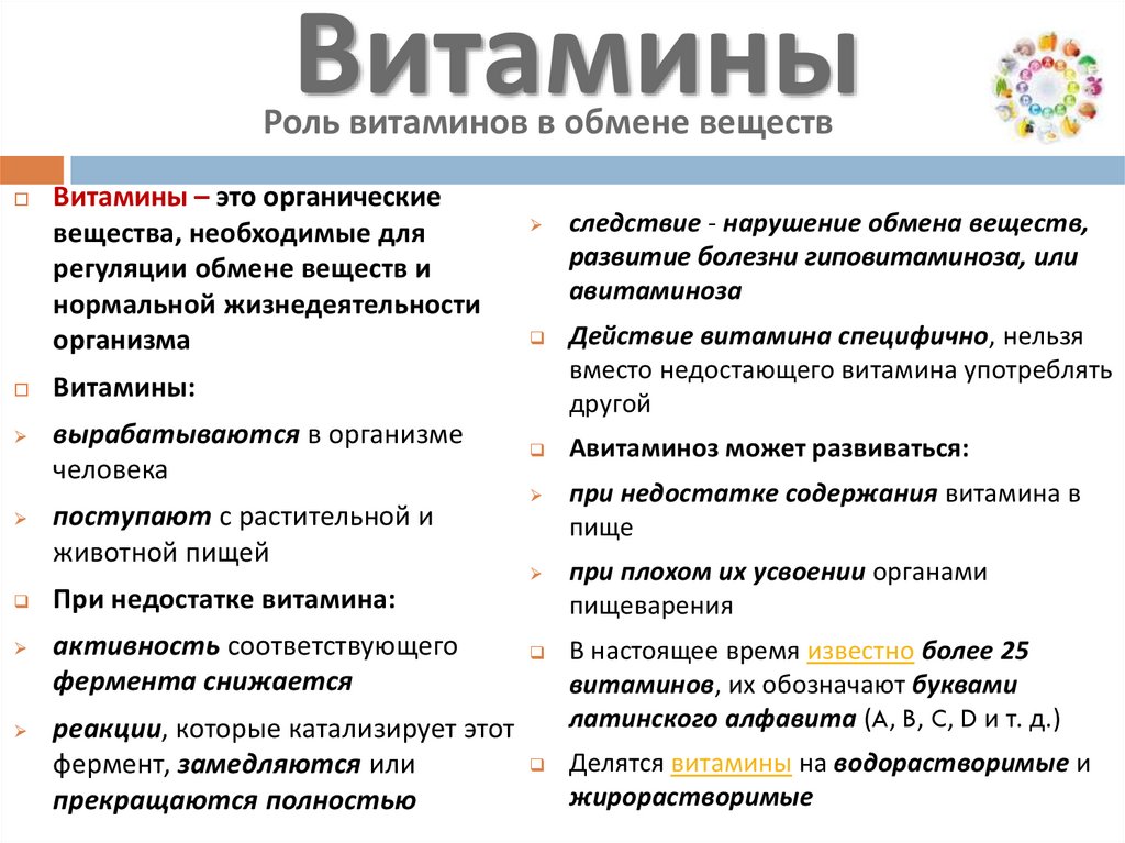 Обмен витаминов