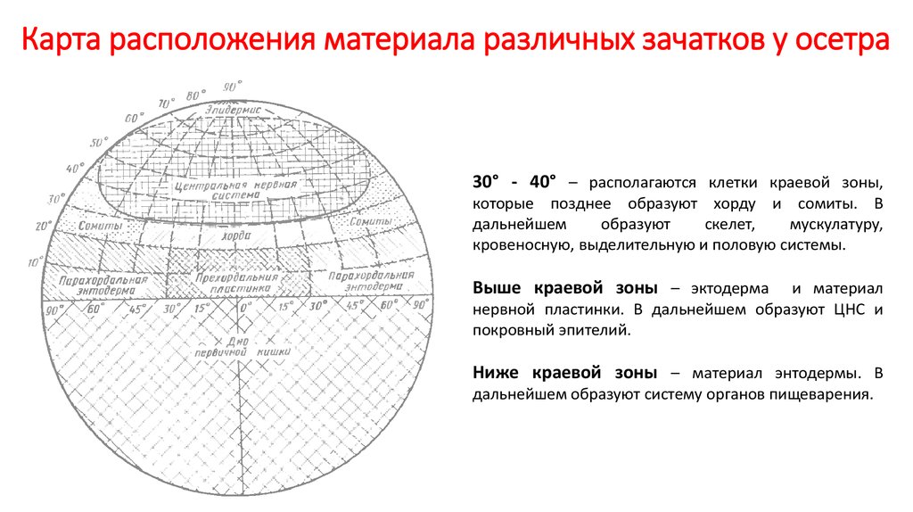 Расположение материала