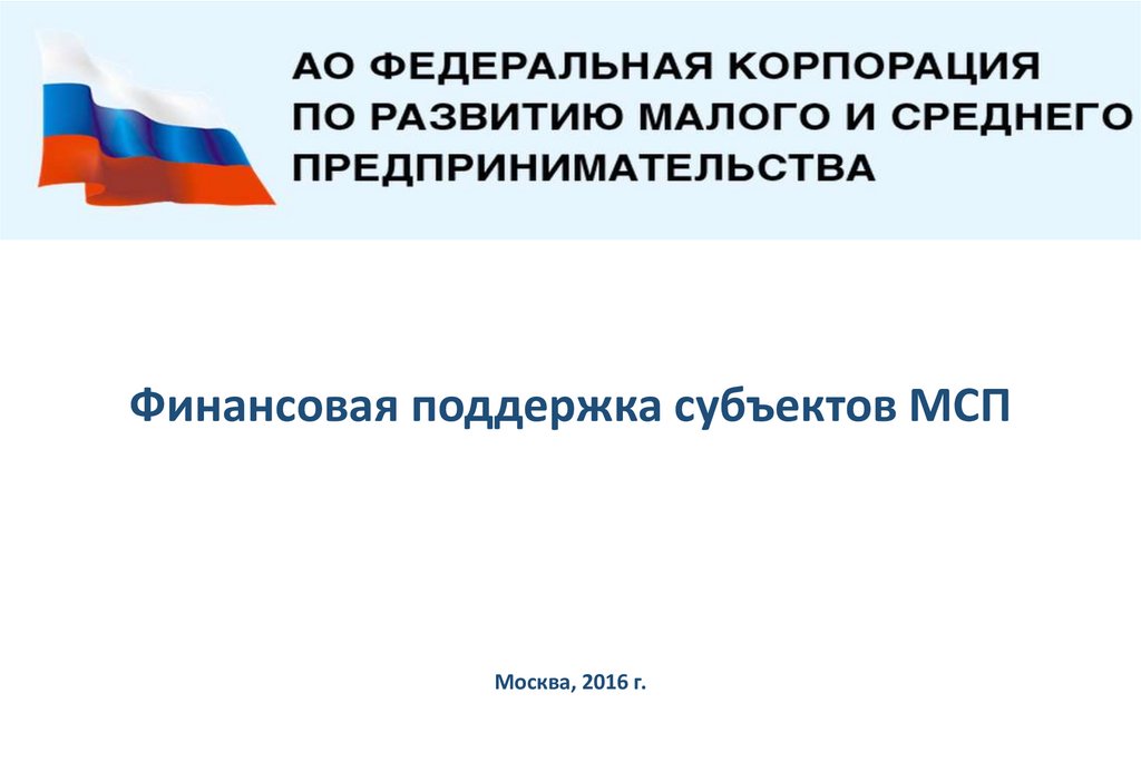 Финансовая поддержка субъектов малого и среднего