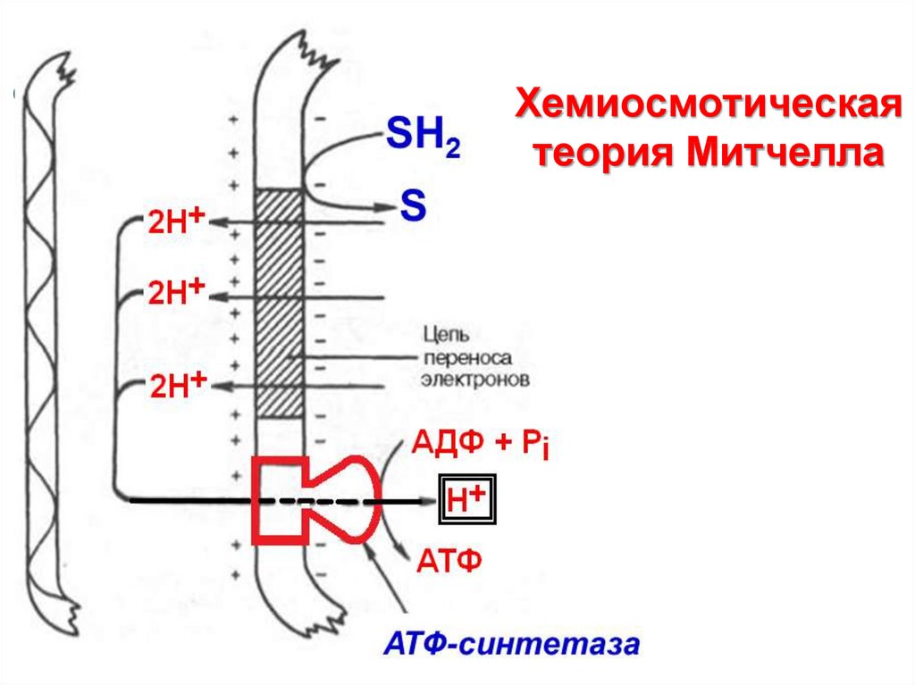 Митчелл схемы онлайн