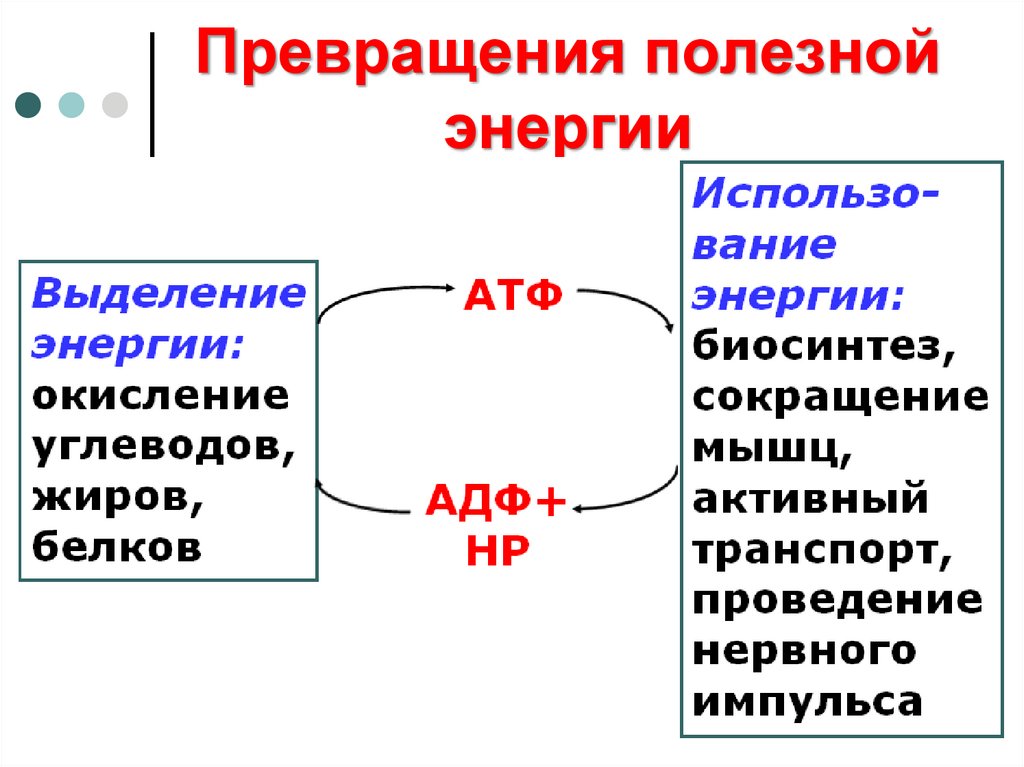 Макроэргические связи в атф