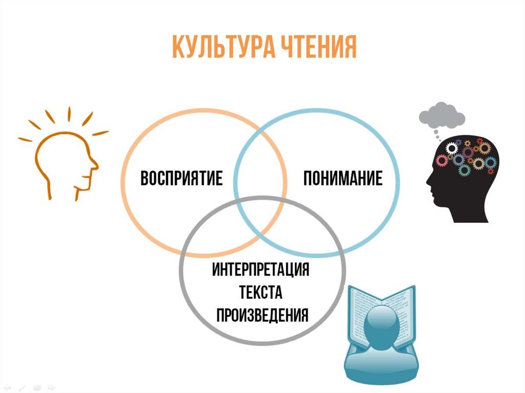 Восприятие чтения. Культура чтения. Основы культуры чтения. Понятие культуры чтения. Компоненты культуры чтения.