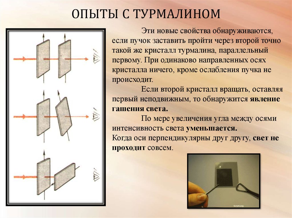 Пройденный опыт. Опыт Малюса с турмалином. Опыт с турмалином физика. Опыт с кристаллами турмалина по поляризации света. Опыт с турмалином поляризация света.