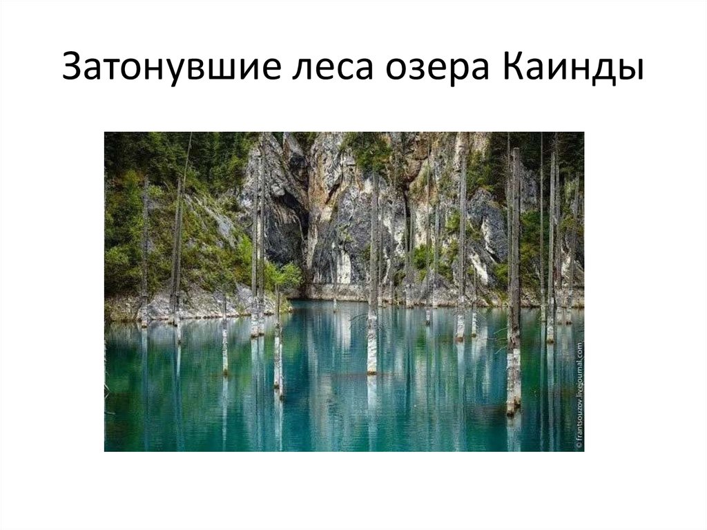 Затонувшие леса озера Каинды