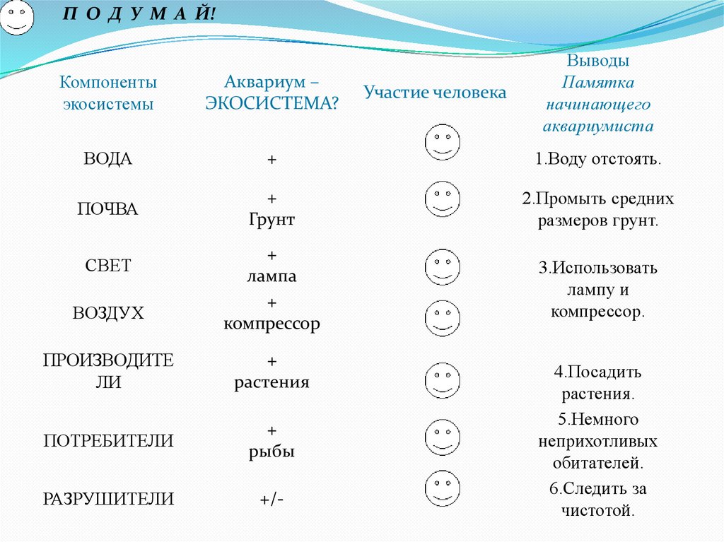 Охарактеризуйте аквариум как модель экосистемы по плану