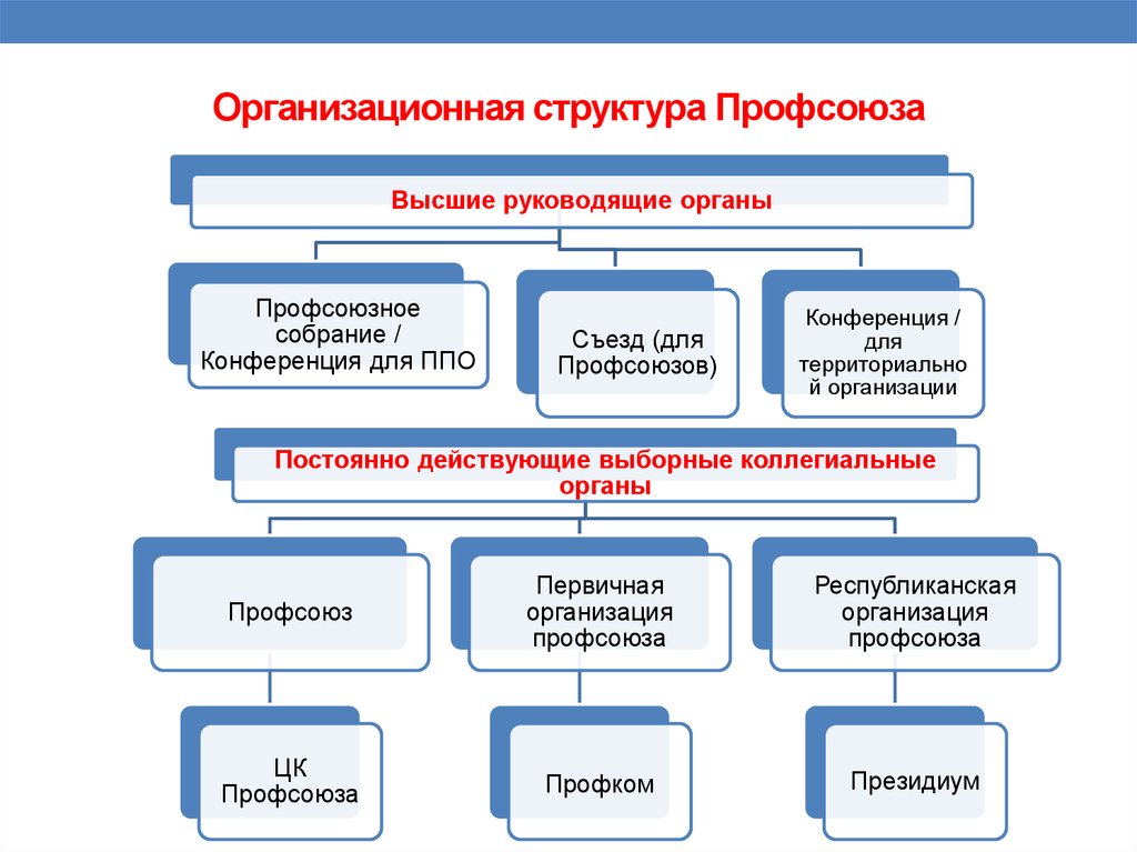 Организационная структура Профсоюза