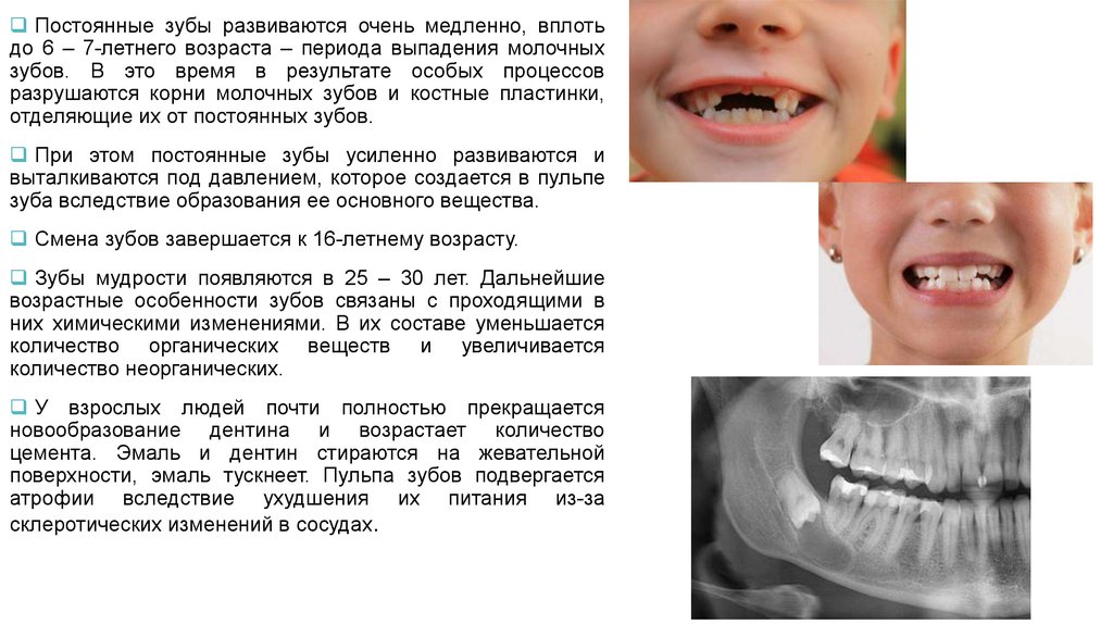 Возрастные изменения зубов презентация