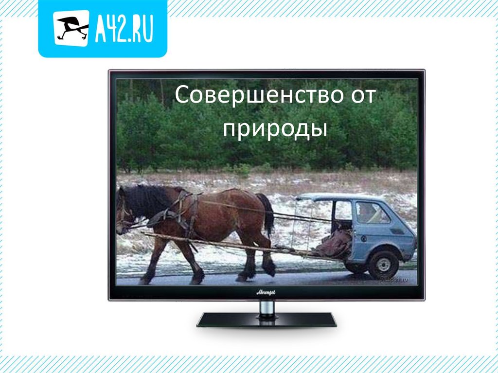 Совершенство от природы