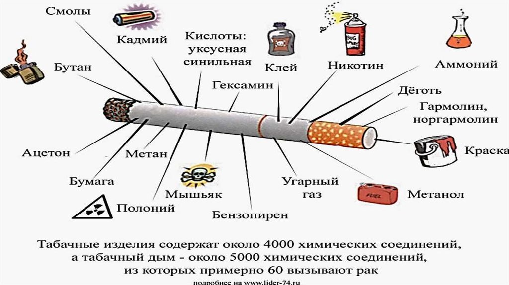 Никотин перегар. Влияние сигарет на дыхательную систему. Что сожержится в сигарета. Влияние никотина на органы дыхания. Влияние сигарет на легкие.