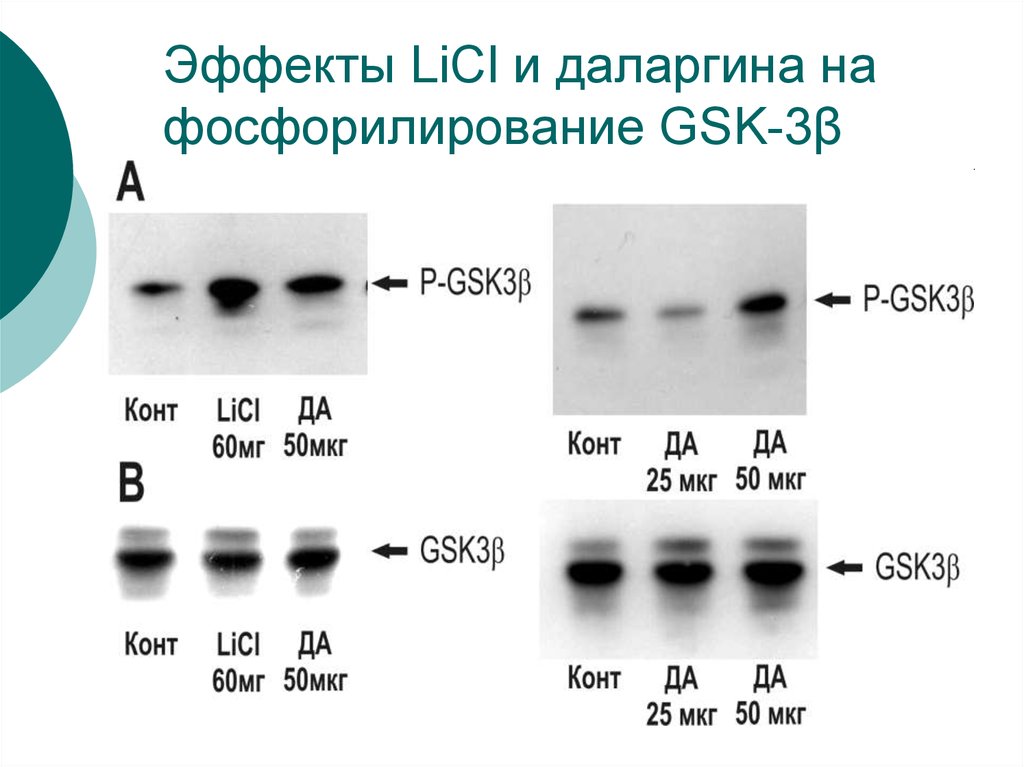 Licl схема связи