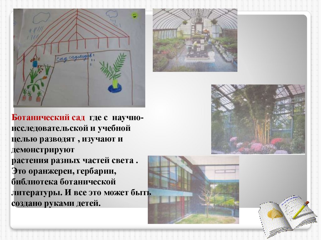 Проект ботаника 31 глава на русском