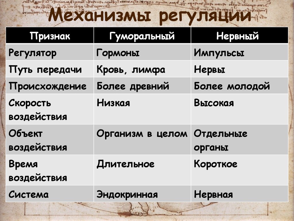 Таблица регуляции. Нервно гуморальный механизм регулятор гормональный. Более древняя форма регуляции;. Синквейн нейрогуморальная регуляция. Объект воздействия отдельные органы.