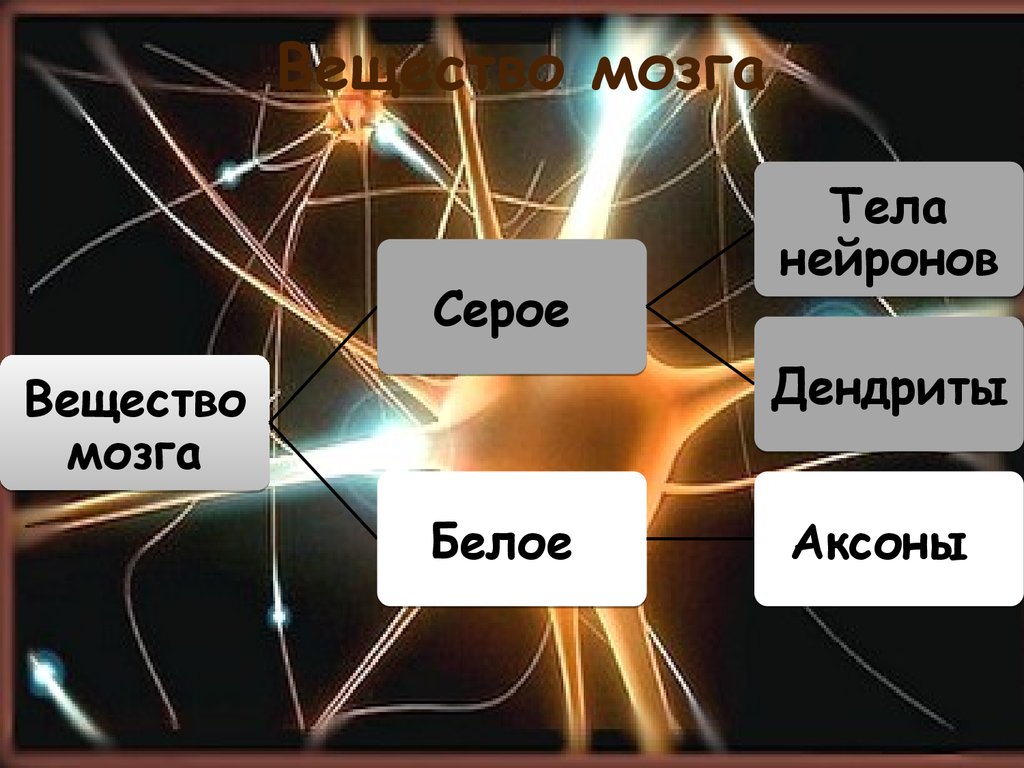 Какой компонент считается сердцем и мозгом любого компьютера