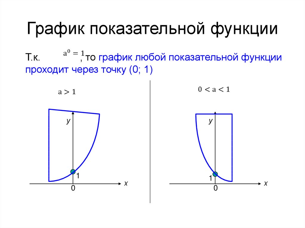 График показательной функции. График любой степенной функции. Показательная функция точки. Через какую точку проходит любой график степенной функции. Показательная функция презентация Савченко.