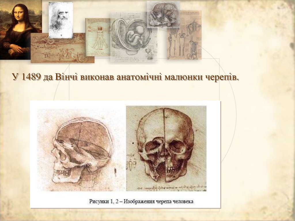У 1489 да Вінчі виконав анатомічні малюнки черепів.