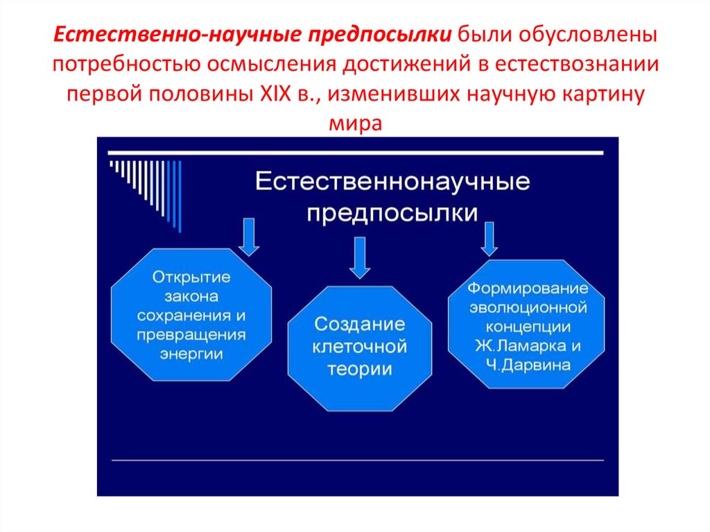 Естественно научная картина. Естественно научные предпосылки. Естественно-научные предпосылки возникновения марксизма. Естественно научные предпосылки марксизма в философии. Естественно научные предпосылки Марксистской философии.