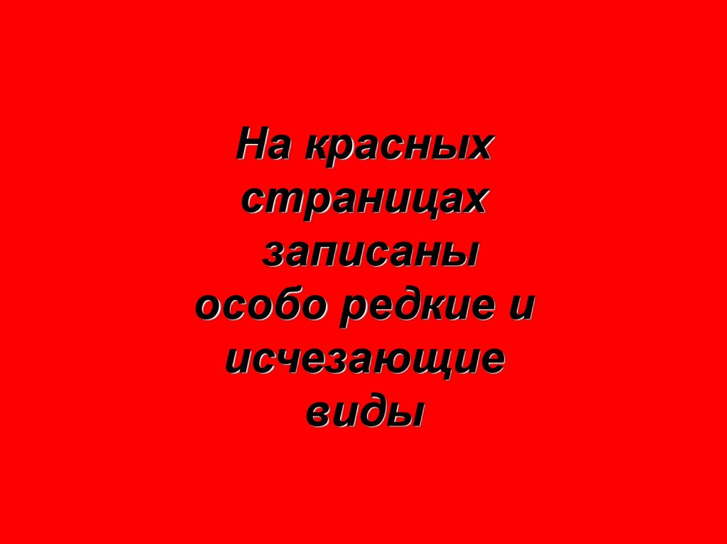 Под защитой красной книги. Картинка красная книга Казахстана. Красная страница. Красная книга стоп. Оранжевый цвет в красной книге.