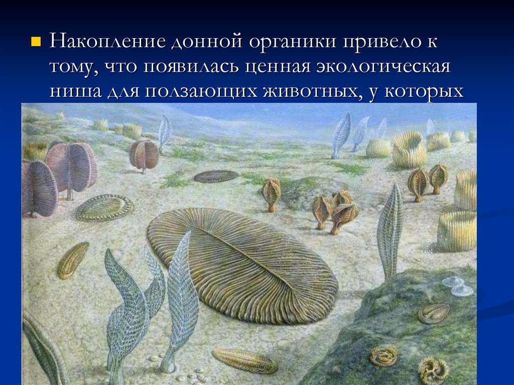 Жизнь на земле зародилась на суше. Первые животные на земле. Первые обитатели земли. Первые организмы на земле. Самые первые животные на земле.