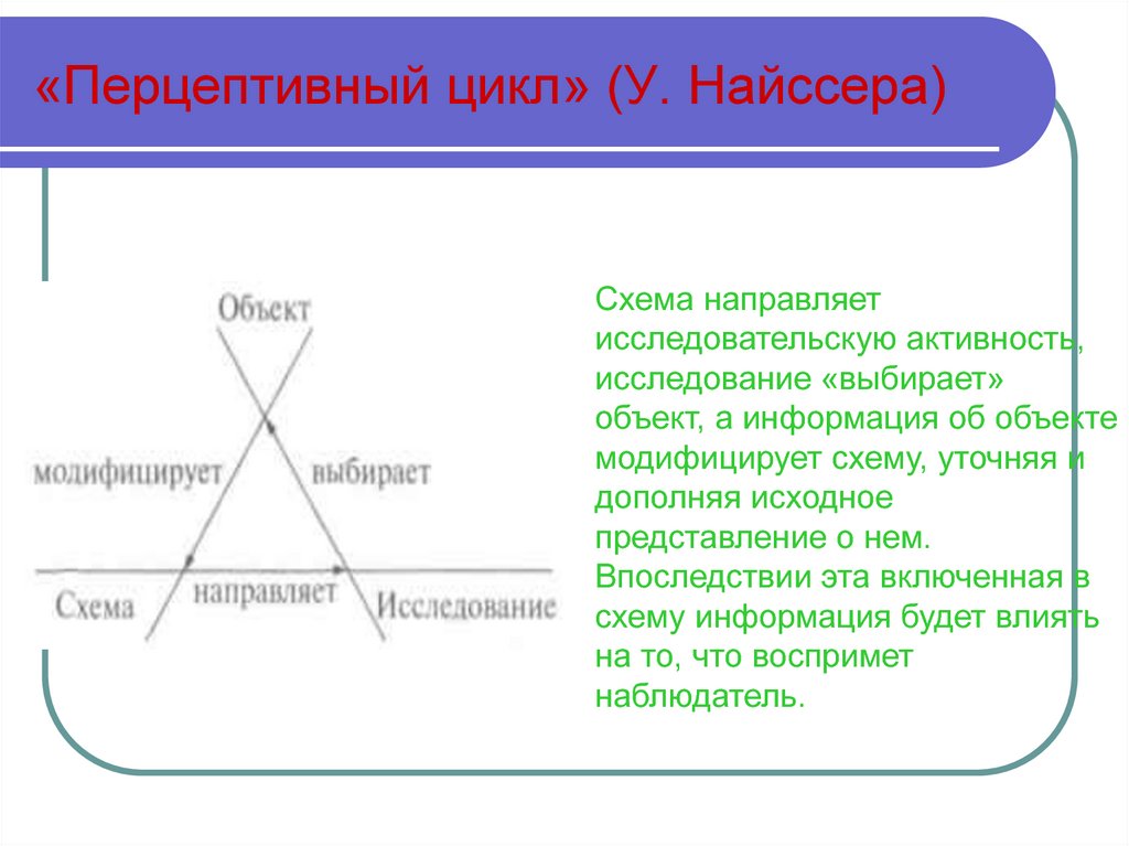 Перцептивная схема и перцептивный цикл